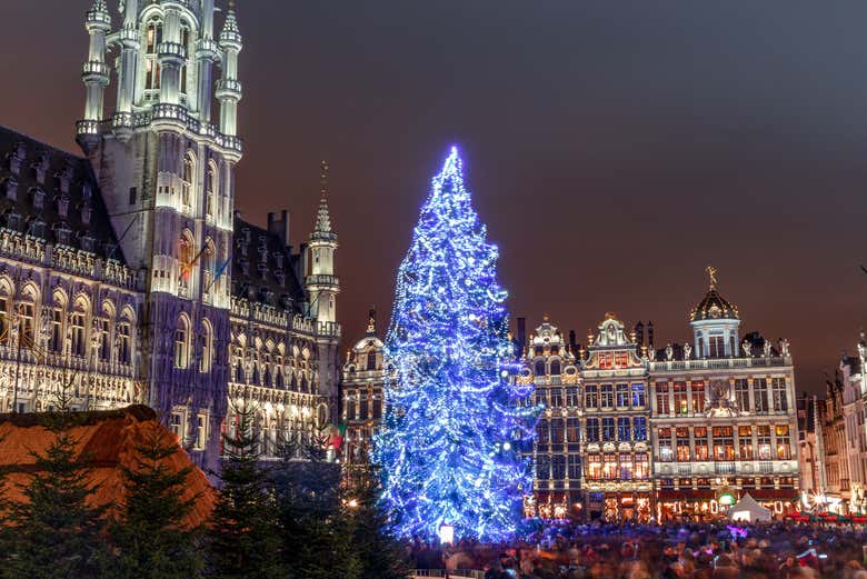 Take in intricately designed Christmas trees around the city