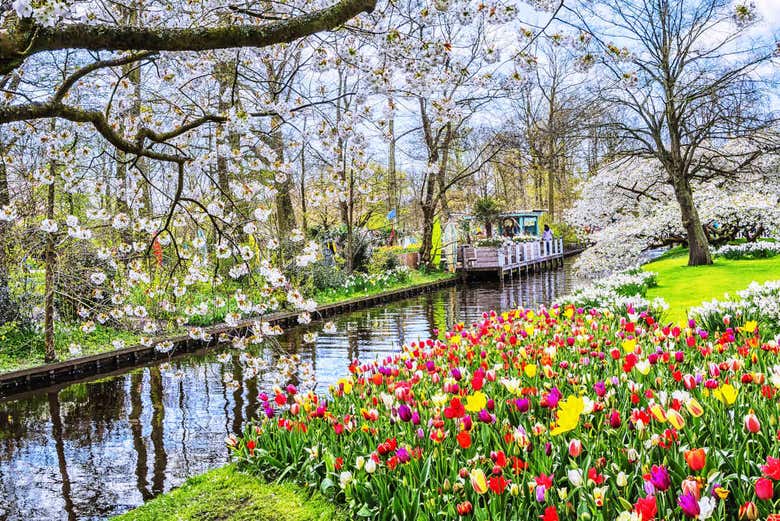 Canal at Keukenhof