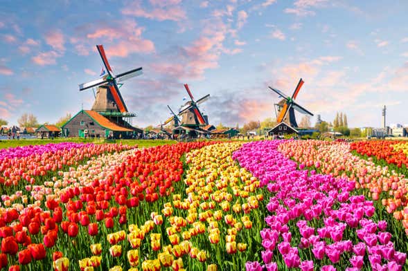 Keukenhof & Delft Excursion