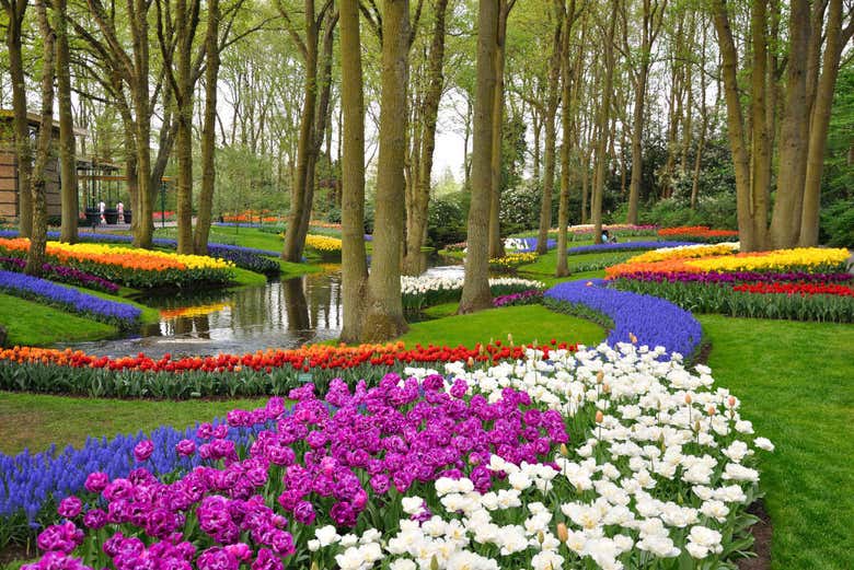 Landscape of the gardens of Keukenhof